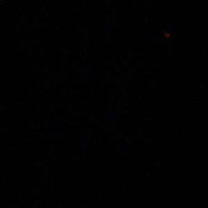 Meet your Posher, Dorinda